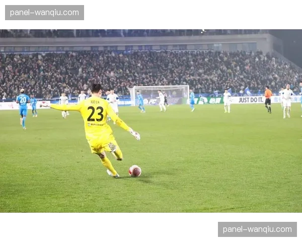 武汉三镇2-2战平南通支云，补时阶段绝平引主场沸腾