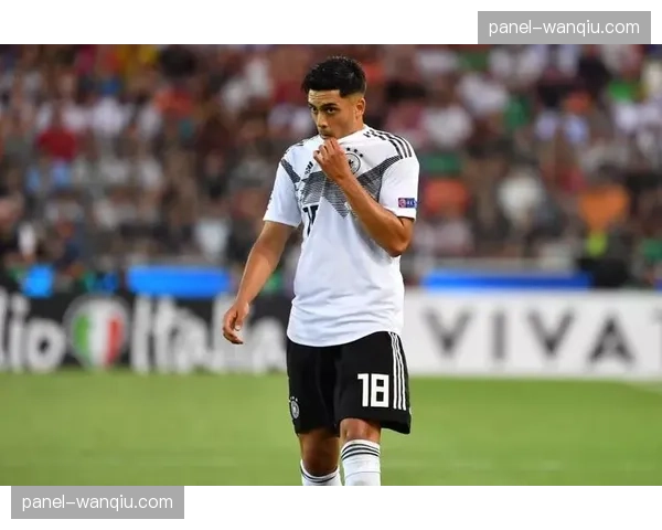 人物专访：从霍芬海姆青训到斯图加特主力，菲里希的成长之路